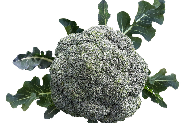 Brocoli