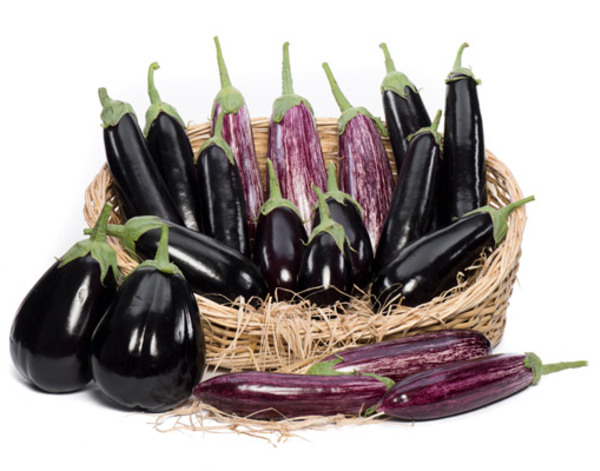 Eggplant