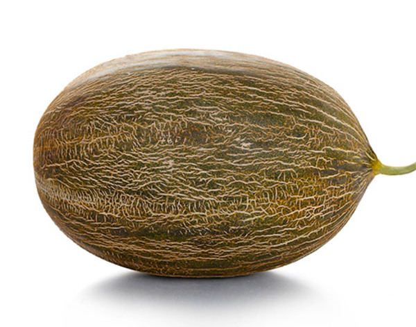 Piel de Sapo
