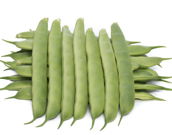 Bean