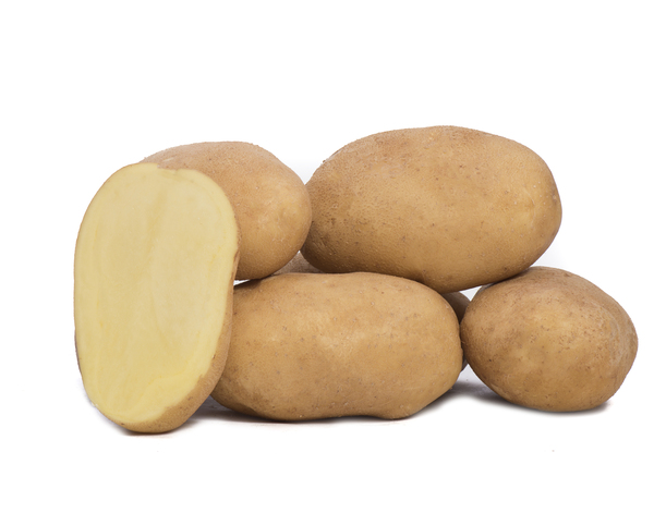 Potato