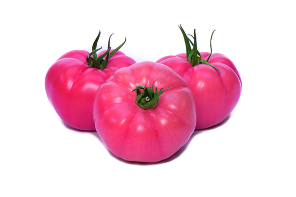 Gusto Pink
