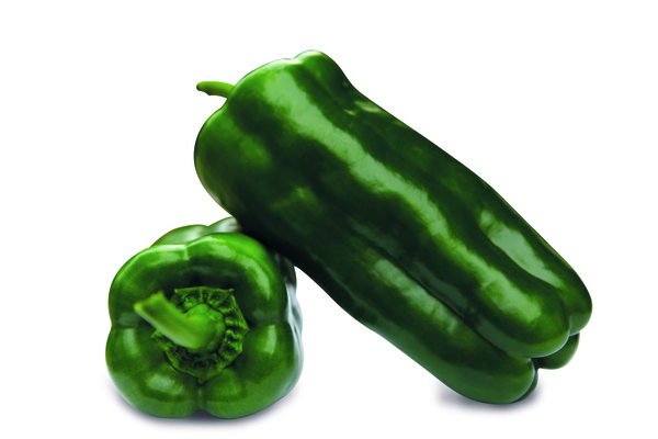 Vigia