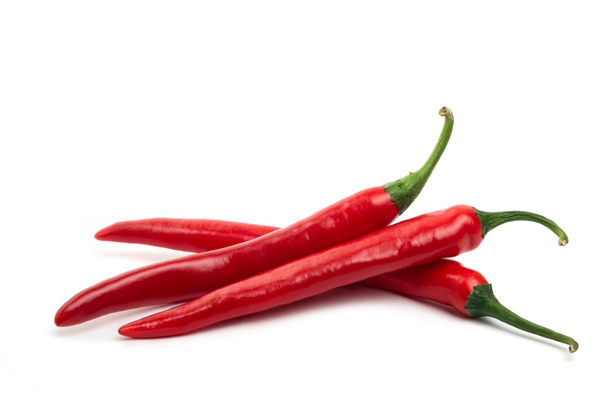 Terapi