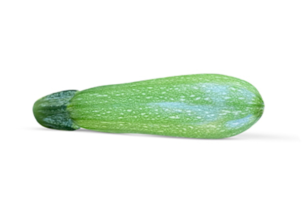 Zarife