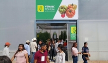Yuksel Seeds drives agricultural innovation with its new rugose resistant varieties